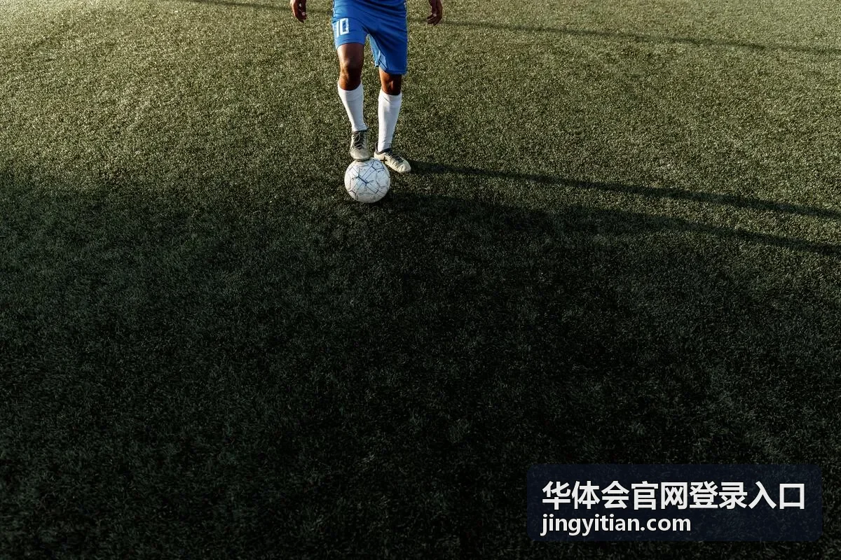 华体会官网登录入口登录页面示意