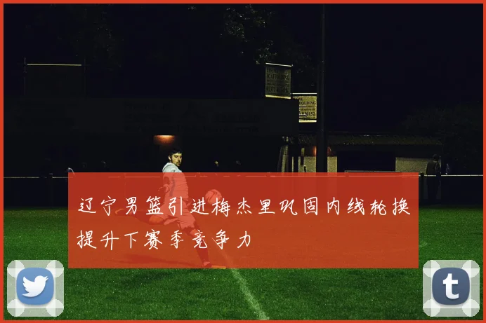 辽宁男篮引进梅杰里巩固内线轮换提升下赛季竞争力