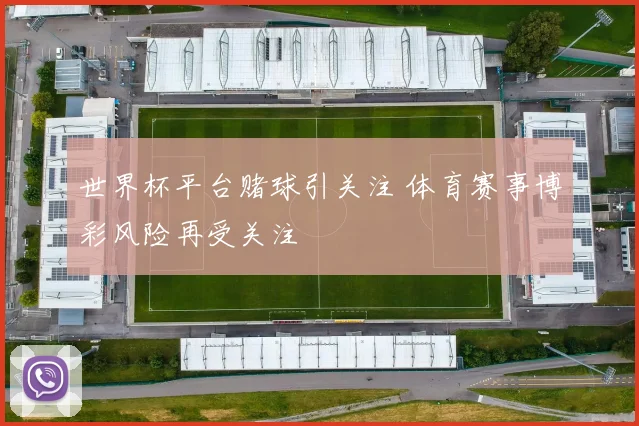 世界杯平台赌球引关注 体育赛事博彩风险再受关注